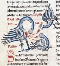 symbole_pelican.jpg