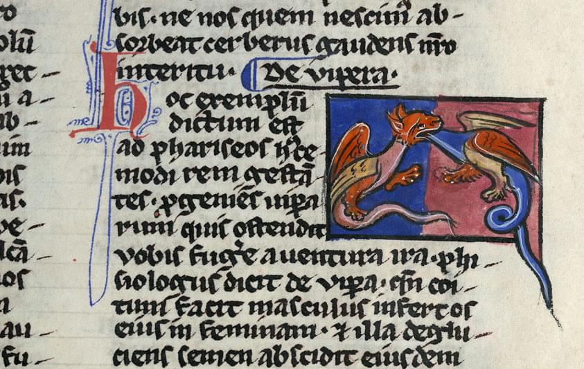 Vouivre 1260 Valenciennes_BM MS 0101